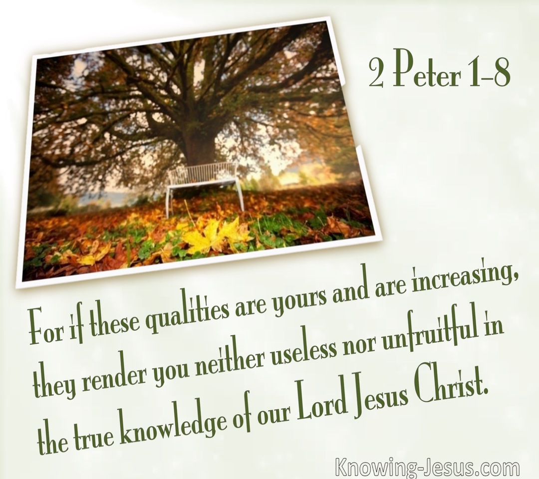 2 Peter 1:8 If These Things Are Yours And Abound  (white)